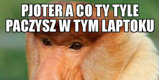 Co Pioter paczy w laptoku?