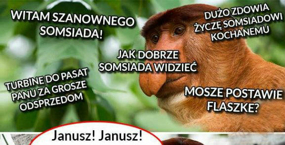Janusz i somsiad