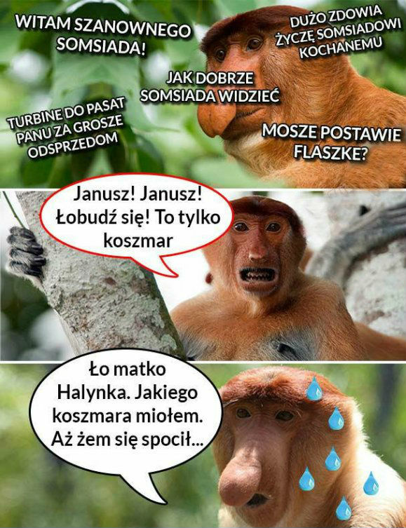 Janusz i somsiad