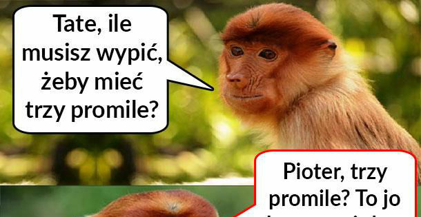 Janusz i trzy promile :D