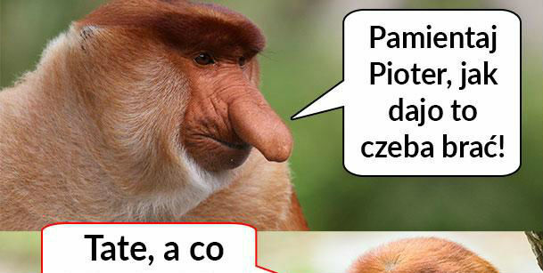 Życiowa rada