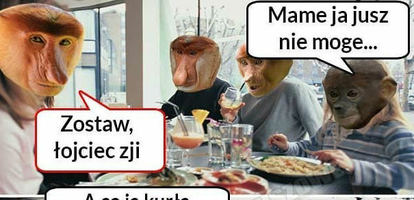 Rozmowa przy obiedzie