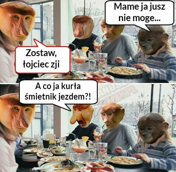 Rozmowa przy obiedzie