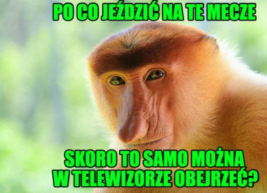 Dobre pytanie