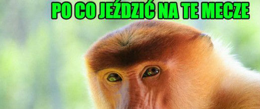 Dobre pytanie