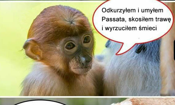 Jesienne porządki