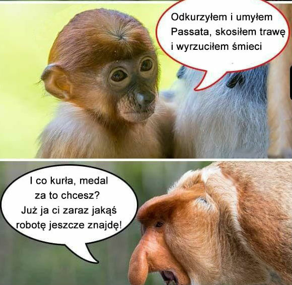 Jesienne porządki