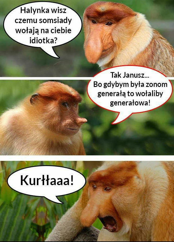 Rozmowa Janusza z żoną