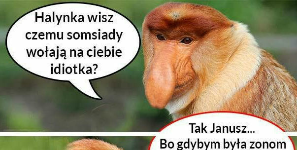 Rozmowa Janusza z żoną