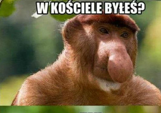 Ktoś tutaj kłamie