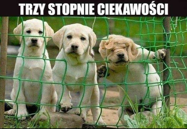 Trzy stopnie ciekawości