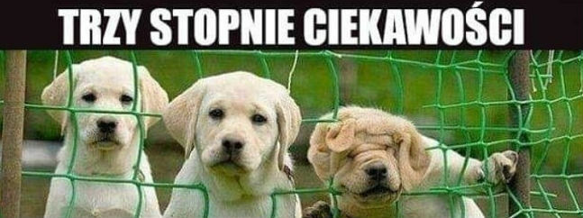 Trzy stopnie ciekawości