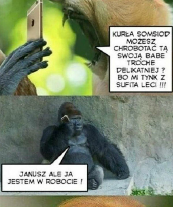 Tego się nikt nie spodziewał