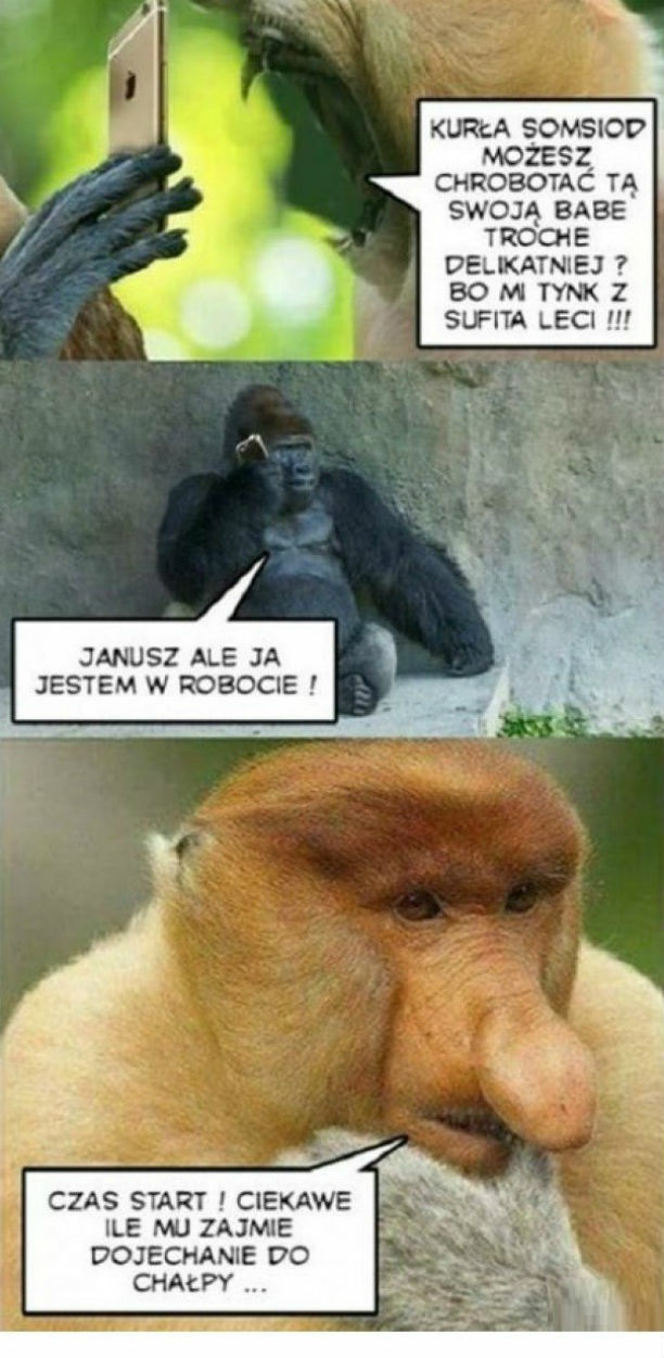 Tego się nikt nie spodziewał