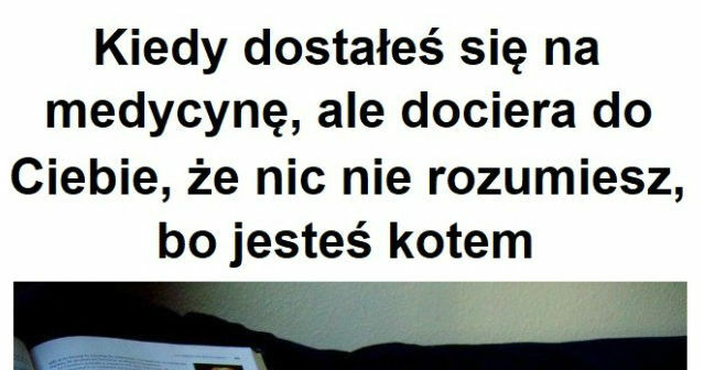 Wymarzone studia