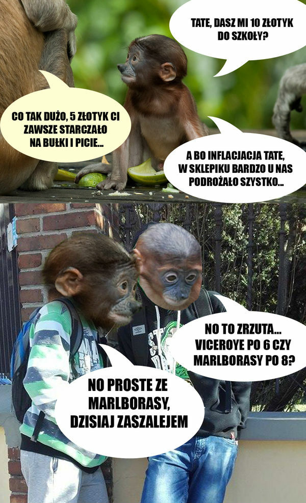 Trzeba sobie radzić w życiu