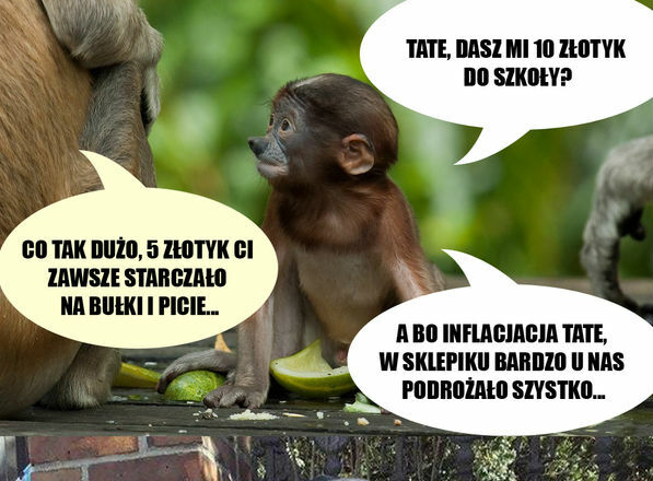 Trzeba sobie radzić w życiu