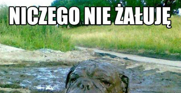 Grunt to pozytywne myślenie