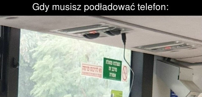 Kreatywność nie gra granic