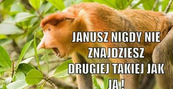 Groźba Halinki :D
