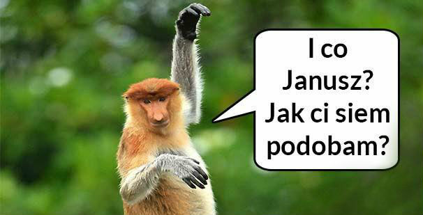 Czy Halynka podoba się Januszowi? 