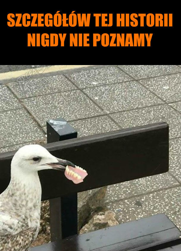 Historia, której szczegółów nigdy nie poznamy. A szkoda...