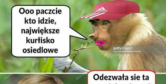 Kłótnia Karyn :D