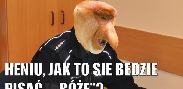 Problemy z ortografią