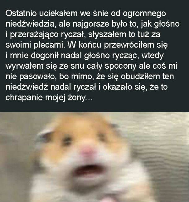 Ryczący niedźwiedź :D