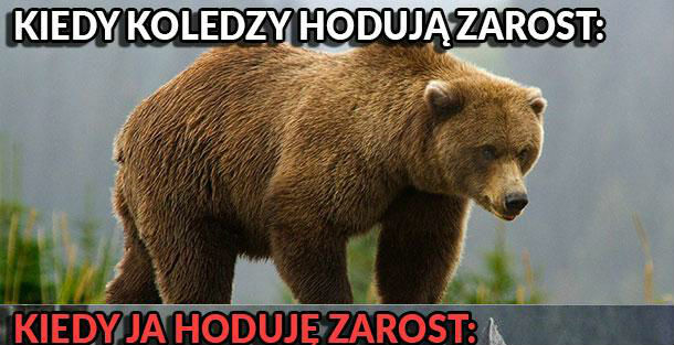 Zapuszczanie zarostu w praktyce :D