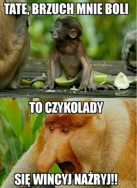 Tata zawsze pomoże