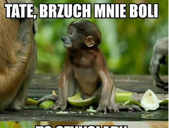 Tata zawsze pomoże
