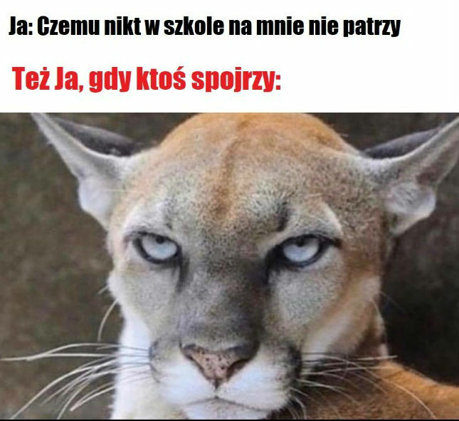 Taka sytuacja w szkole