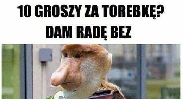 Typowy Janusz