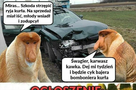 Poirytowany Janusz