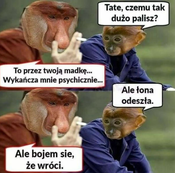 Rozmowa Janusza z synem