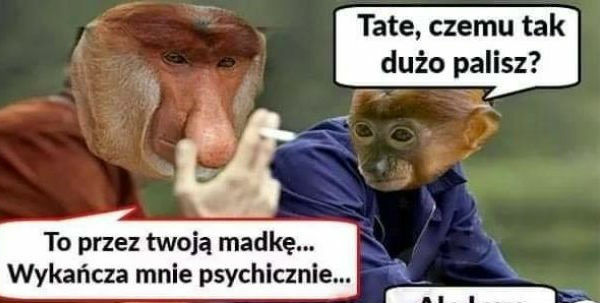 Rozmowa Janusza z synem