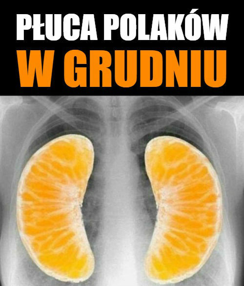 Płuca Polaków w grudniu :D