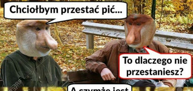Marzenie Janusza