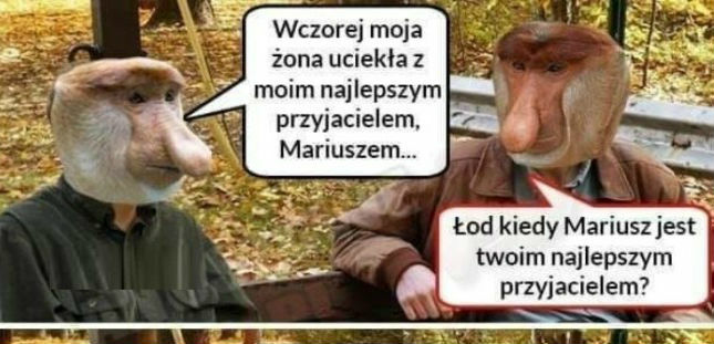 Rozmowa z kolegą
