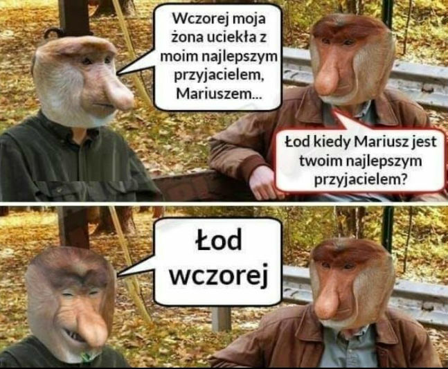 Rozmowa z kolegą