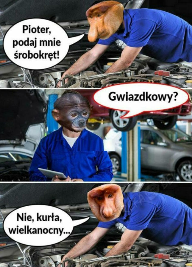 Wizyta u wulkanizatora