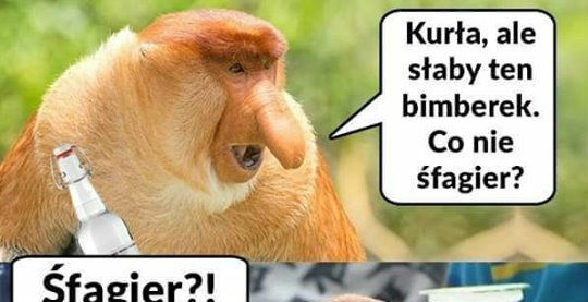 Słaby bimberek :D