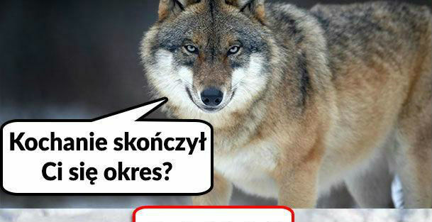 Te dni :D