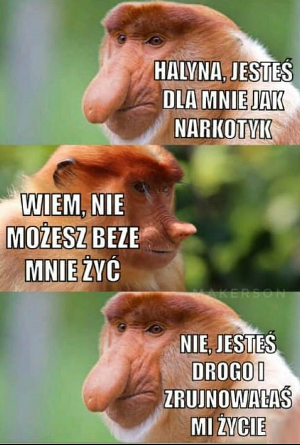 Romantyczny Janusz