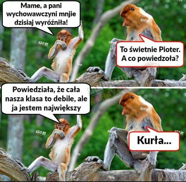 Prawdziwy zaszczyt