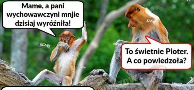 Prawdziwy zaszczyt