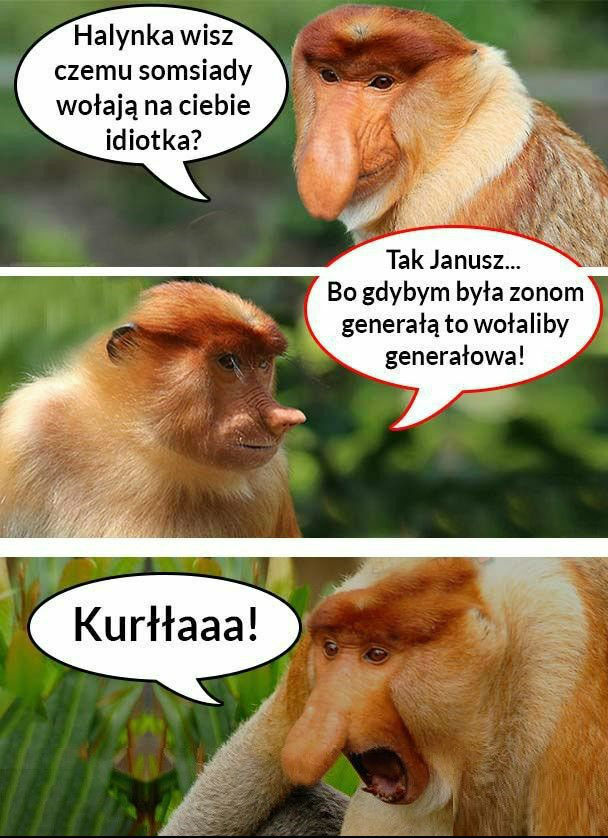 Ciekawa dyskusja