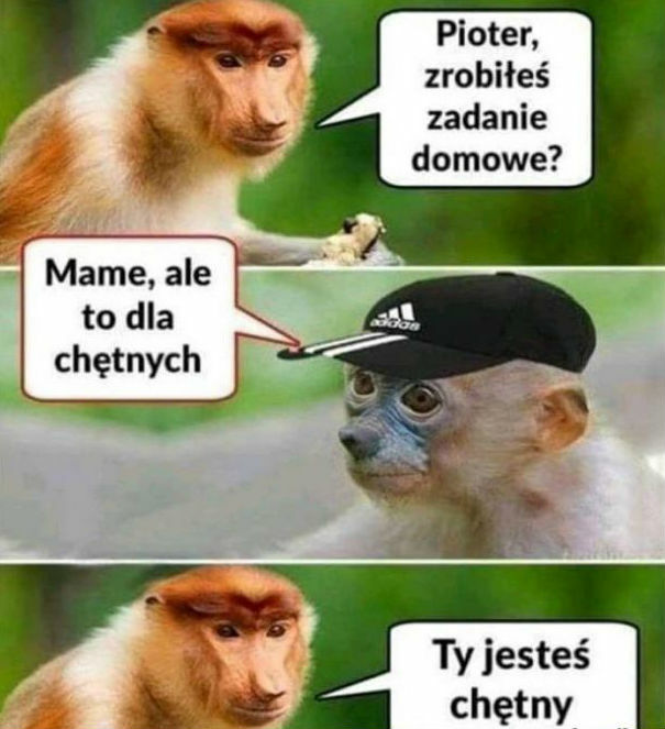 Kiedy chodziło się do szkoły