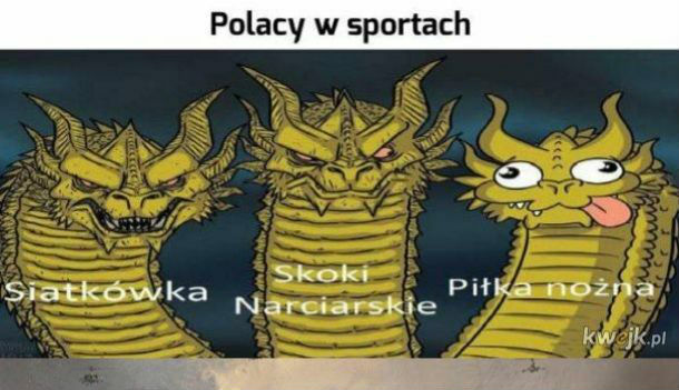 Polacy w sportach !